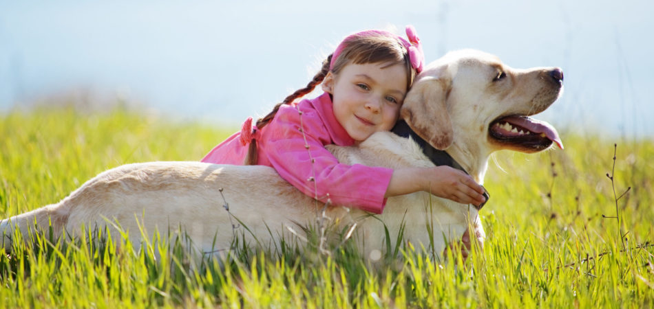 Happy child playing with dog in green field
