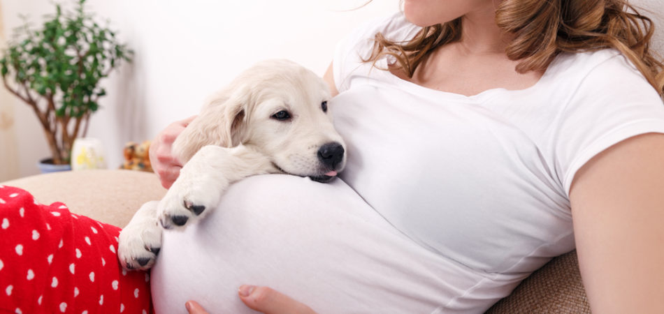 Pregnant woman sitting with her dog at home