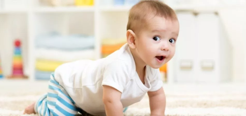 crawling funny baby boy indoors at home