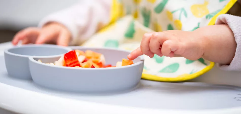 Macro Close up of Baby Hand with a Piece of Fruits Sitting in Child's Chair Kid Eating Healthy Food